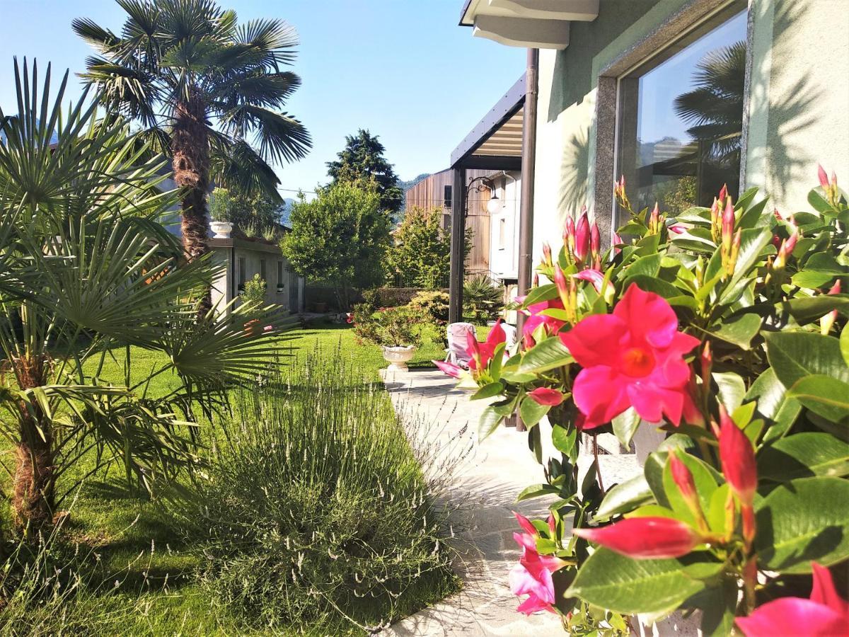 Residenza Laurum Mandello del Lario Exteriör bild