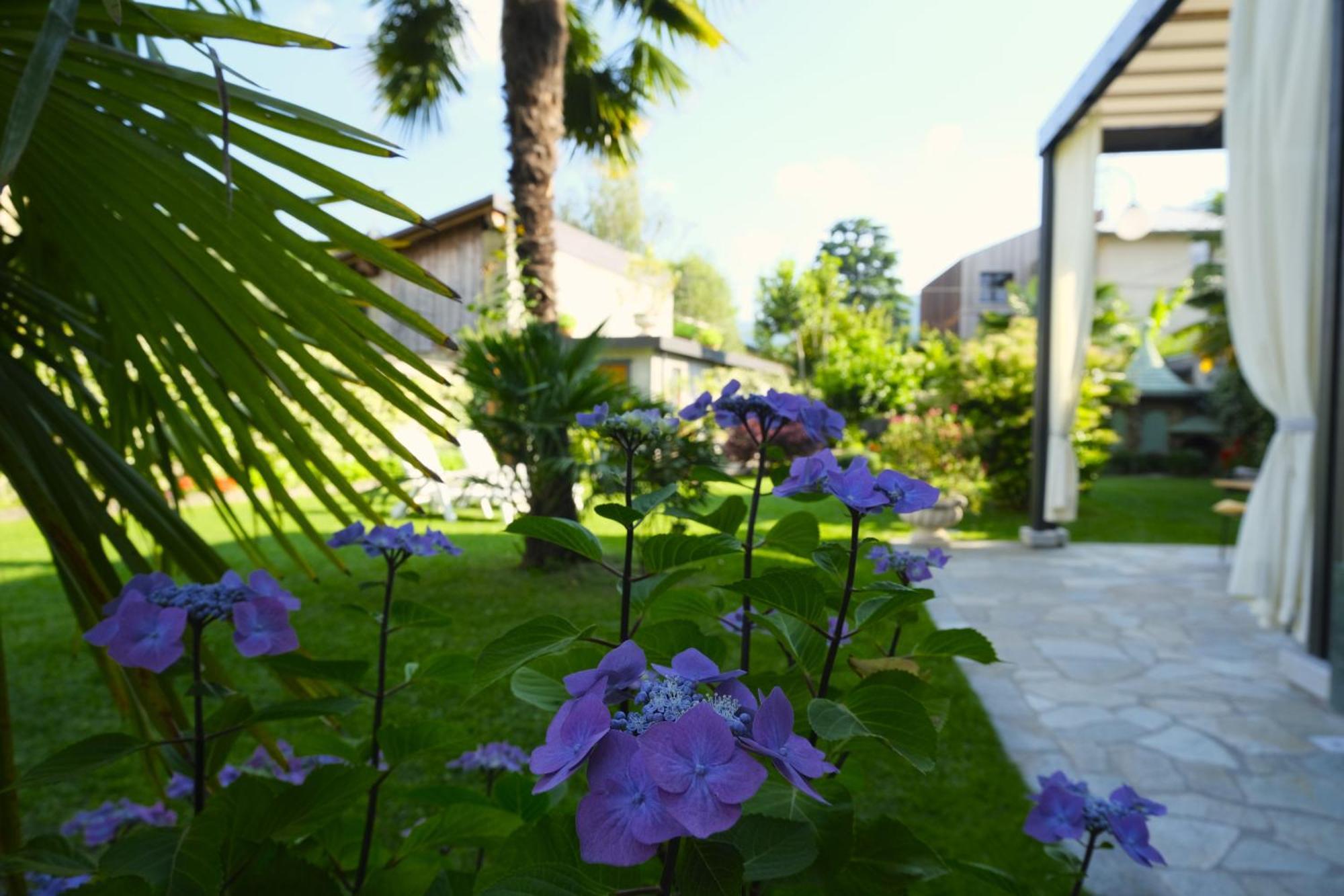 Residenza Laurum Mandello del Lario Exteriör bild